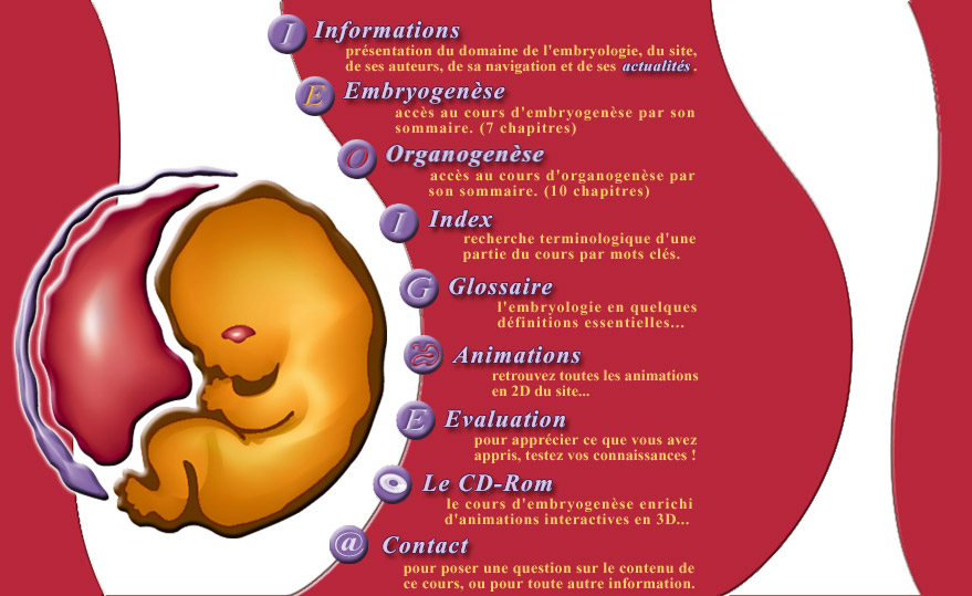 Embryologie Humaine Accueil